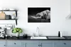 MuchoWow® Poster Elefant - Wasser - Schwarz - Weiß 60x40 cm Produktbild-Vorschau 3