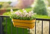 Blumenkasten Elho vibia campana allin1 Kunststoff 70,4 x 26 Produktbild-Vorschau 7