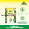 Neudorff SF Nematoden gegen Trauermücken - 5 Mio - für 50 Produktbild-Vorschau 3