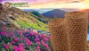 A scenic mountain landscape with pink flowers in the foreground and two rolls of brown material in the right side of the image. Anteprima dell’immagine prodotto
