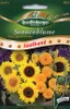 Saatband Sonnenblumen, niedrige Mischung Produktbild-Vorschau 4
