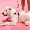 Vodítko a postroj pre psa XL PJ-064 Rose Náhľad obrázku produktu 3