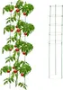 Supporti per rampicanti Relaxdays, set da 2, tutori a Anteprima dell’immagine prodotto 1