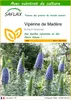 SAFLAX  - Vipérine de Madère - 100 graines - Avec substrat Voir les images du produit 1