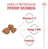 Royal Canin X-Small Puppy, Dorosły, Drób, 1,5 kg Podgląd zdjęcia produktu 3