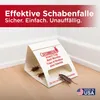 Catchmaster Schabenfalle 100i - 30 Stück - Zur Produktbild-Vorschau 4