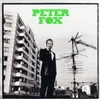 Peter Fox-Stadtaffe Produktbild-Vorschau 1