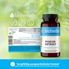 Bioherba Pygeum Extrakt 270 mg 100 Kapseln Produktbild-Vorschau 8