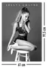 ARIANA GRANDE - Maxi-Poster 91,5x61 - Sediaci Náhľad obrázku produktu 5