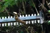 Akku-Heckenschere GHE 18V-60 (II) Produktbild-Vorschau 18
