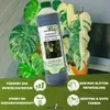 GreenPanda Monstera Dünger & Philodendron Dünger - 1L Produktbild-Vorschau 2