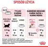 Royal Canin Kitten Sterilised, Kocięta, Drób, 3,5 kg Podgląd zdjęcia produktu 8