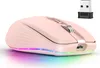 A pink wireless mouse with RGB lighting and a USB receiver is shown against a white background. Produktbild-Vorschau