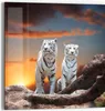 DEQORI Glasbild Echtglas 30x30 cm 'Weiße Tiger im Produktbild-Vorschau 1