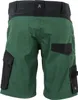 PLANAM Norit Damen Short 6464-grün/schwa  Größe S Produktbild-Vorschau 2