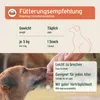 AniForte Immun-Boost Snack für Hunde 300g - Natürliche Produktbild-Vorschau 5