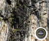 Shilajit Mumijo 100% Rein – Altai Harzpaste – Natürliches Produktbild-Vorschau 11