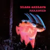 Paranoid (Lp+Cd,180g) (Vinyl) Produktbild-Vorschau 5