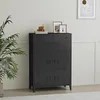 A black metal cabinet with six doors is shown in a room with a plant and framed pictures on top. Voir les images du produit