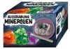 Ausgrabungsset Mineralien und Fossilien, sortiert, ab 5 Produktbild-Vorschau 5