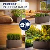 CASARIA® Blumenkasten "Ethica“ 80L 80x36x35cm Ablaufboden Produktbild-Vorschau 9