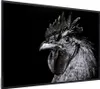 MuchoWow® MuchoWow® Gerahmtes Poster Hahn - Vogel - Schwarz Produktbild-Vorschau 1