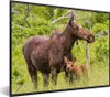 MuchoWow® MuchoWow® Gerahmtes Poster Rentier - Pflanzen - Produktbild-Vorschau 1