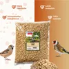 PANTO Erdnusskerne blanchiert 2,5kg - Für Wildvögel Produktbild-Vorschau 2