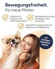 NutriLabs Glukosaminol Gelenkpulver 150g für Hunde-Welpen Produktbild-Vorschau 4