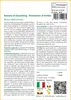 SAFLAX  - Banana di Darjeeling - 5 semi - Musa Anteprima dell’immagine prodotto 3