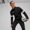 Survêtement Puma équipe se lève 65865303 Voir les images du produit 7
