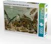 CALVENDO Puzzle Seewasser-Aquarium, Künstler: Adolf Giltsch Produktbild-Vorschau 1