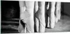 Bilder auf glas - Einteilig - Ballettschuhe Füße Tanz - Produktbild-Vorschau 1