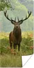 MuchoWow® Poster Rothirsch - Natur - Grün 20x40 cm - Plakat Produktbild-Vorschau 1