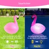 Topool CT212FG Schwimmende Solarlampe Flamingo für Pool & Produktbild-Vorschau 3