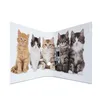 Herma 7166 Teczka Motif cats A4 70 mm(S) Podgląd zdjęcia produktu 4