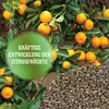 LERAVA® Zitrusdünger - 800g - Kräftiges Wachstum, Produktbild-Vorschau 3
