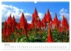 Madeira - Die Blumeninsel im Atlantik. (Wandkalender 2027 Produktbild-Vorschau 10