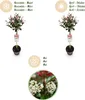 Fotinii Photinia fraseri Carré Rouge, 19cm, wysokosc 90cm, Podgląd zdjęcia produktu 7