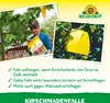Neudorff KirschmadenFalle 7 Stück Produktbild-Vorschau 4