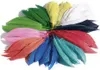 folia plumes d'indien 100 g couleurs assorties Voir les images du produit 2