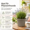 Pflanztopf Fiona Taupe Ø 20cm - Frostsicher & UV-Beständig Produktbild-Vorschau 8