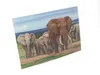 3D Postkarte Elefanten Familie Produktbild-Vorschau 2