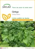 SAFLAX  - Ginkgo - 4 graines - Ginkgo Voir les images du produit 1