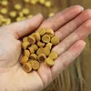 A hand holding a pile of small, round, tan-colored dog treats. Produktbild-Vorschau