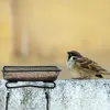 2 Stück Vogelfutterschale für Balkongeländer, Produktbild-Vorschau 5