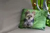 MuchoWow® Outdoor Kissen - Ein Yorkshire Terrier liegt auf Produktbild-Vorschau 2