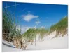 Wallario Wandbild Düne am Strand unter blauem Himmel, Produktbild-Vorschau 2