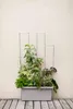 Zelfwaterende plantenbak, groot formaat, Berberis DUO, Productafbeelding-voorbeeld 6