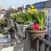 Relaxdays – stożki gliniane do podlewania, zestaw 4 sztuk, Podgląd zdjęcia produktu 2